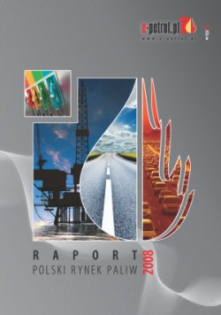 Raport 2008