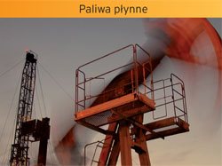 Raport paliwowy