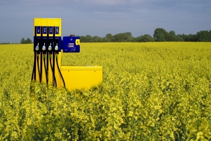 Biopaliwa poprawią wyniki handlowe rafinerii Biopaliwa poprawią wyniki handlowe rafinerii