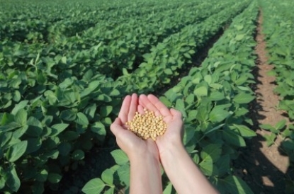 Biopaliwa nie oznaczają mniejszej emisji dwutlenkiem węgla?