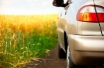 e-petrol.pl: komentarz do sytuacji na rynku oleju rzepakowego w Polsce na tydzień 42 (16-20 października) e-petrol.pl: komentarz do sytuacji na rynku oleju rzepakowego w Polsce na tydzień 42 (16-20 października)
