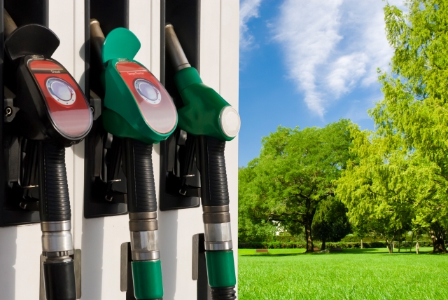 e-petrol.pl: kolejne rekordy pobite e-petrol.pl: kolejne rekordy pobite