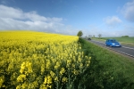 Większy popyt na biodiesel w Niemczech Większy popyt na biodiesel w Niemczech