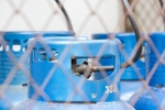 e-petrol.pl: ostatnie wydarzenia na rynku LPG w Polsce (27 kwietnia 2021) e-petrol.pl: ostatnie wydarzenia na rynku LPG w Polsce (27 kwietnia 2021)
