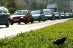 e-petrol.pl: podwyżki cen na stacjach obejmą wszystkie gatunki paliw e-petrol.pl: podwyżki cen na stacjach obejmą wszystkie gatunki paliw