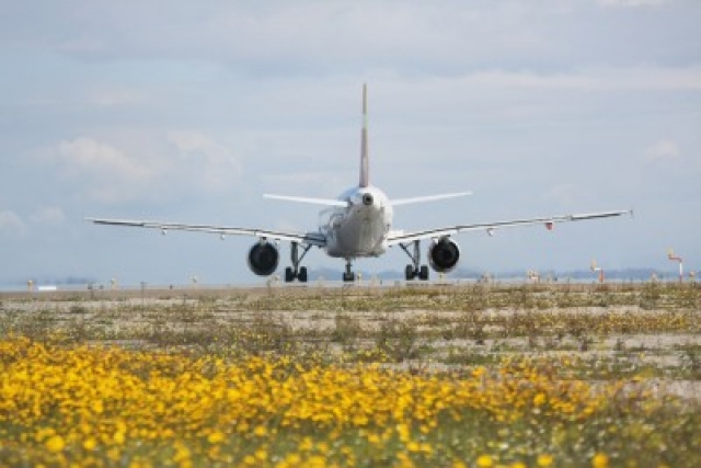 Linie lotnicze apelują do nafciarzy o przyspieszeni produkcji paliw alternatywnych