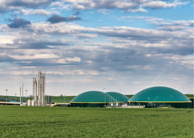 Shell kupi duńską firmę Nature Energy Shell kupi duńską firmę Nature Energy