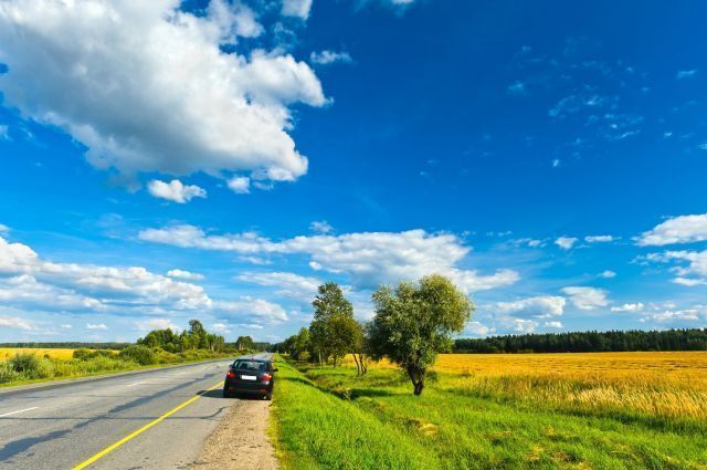 e-petrol: bez skoków cen w kolejnych dniach