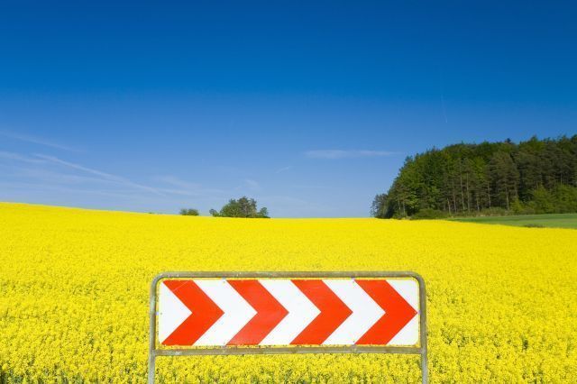 Orlen wybuduje własną tłocznię oleju Orlen wybuduje własną tłocznię oleju