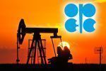 OPEC prognozuje dalszy wzrost popytu na ropę