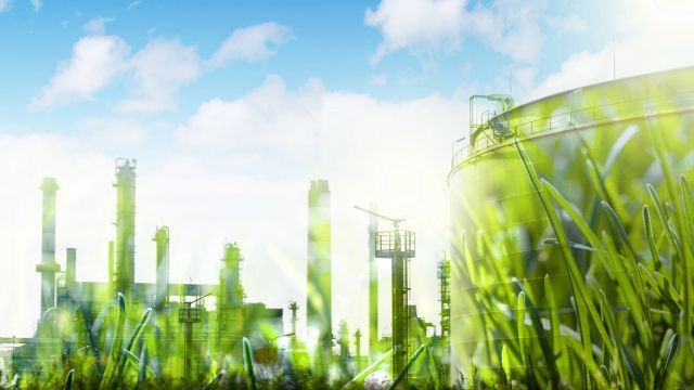 Biały Dom rozważa usunięcie rekordowych zaległości w biopaliwowych zwolnieniach Biały Dom rozważa usunięcie rekordowych zaległości w biopaliwowych zwolnieniach