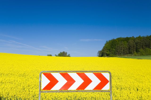 Apel dotyczący zniesienia zakazu importu rzepaku z Ukrainy Apel dotyczący zniesienia zakazu importu rzepaku z Ukrainy