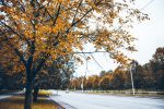 e-petrol.pl: cena diesla nadal poniżej sześciu złotych