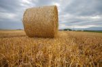 Nowelizacja ustawy o zwrocie akcyzy w paliwie rolniczym z podpisem prezydenta