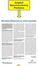 Parner Raportu Rocznego - przykład 2 Parner Raportu Rocznego - przykład 2