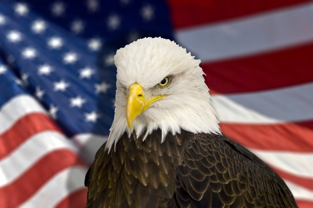 USA postawiły na gaz z łupków USA postawiły na gaz z łupków