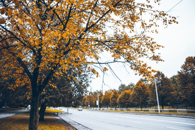 e-petrol.pl: na stacjach nareszcie taniej 