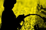 Biopaliwo z odpadków i tłuszczów zwierzęcych Biopaliwo z odpadków i tłuszczów zwierzęcych